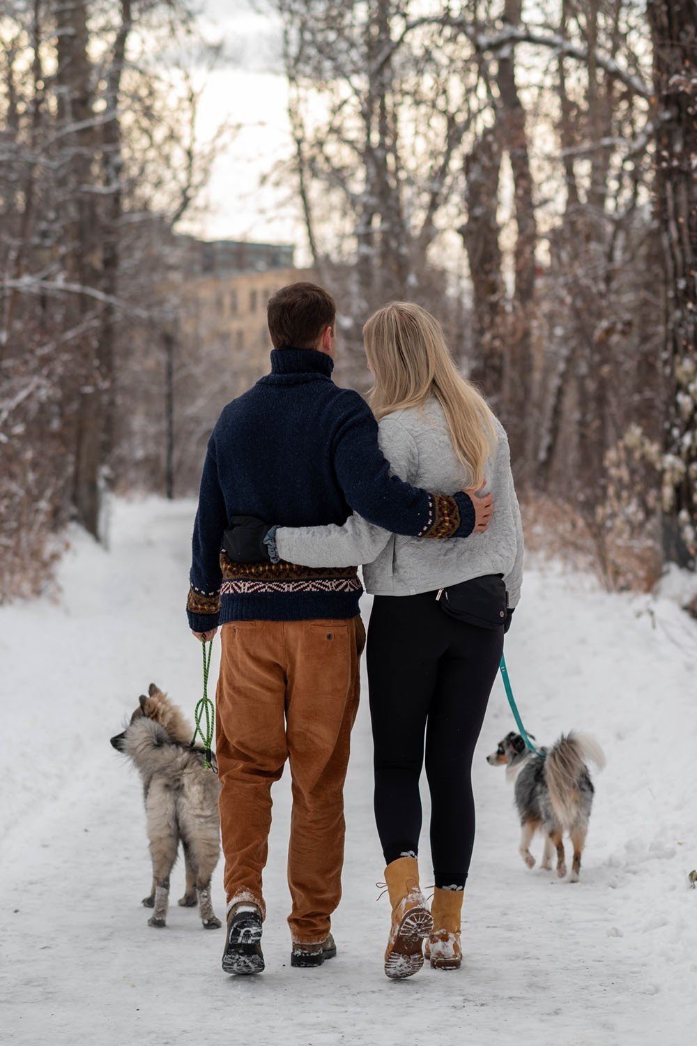 carousel-hero-element image-2